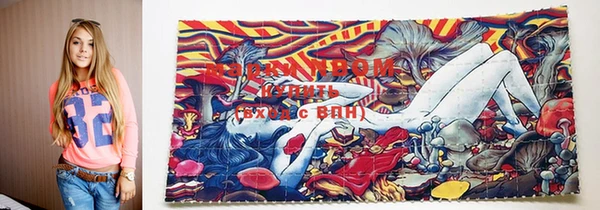 стаф Бородино