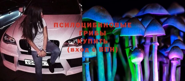 стаф Бородино