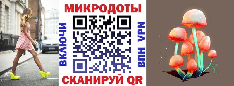 Галлюциногенные грибы Psilocybe  Краснослободск 